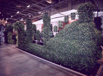 The Vertical Garden at the Fair