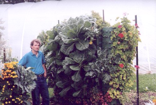 Wall of vegetables I