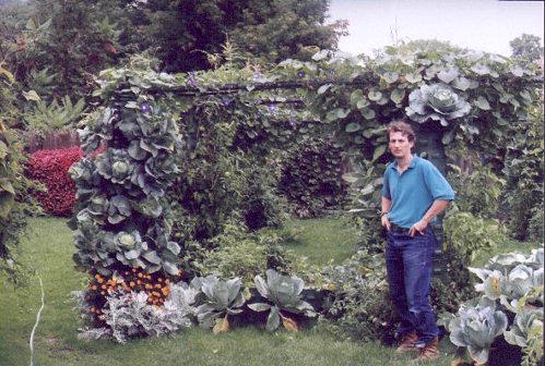 Wall of vegetables II