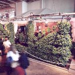 THE VERTICAL GARDEN at the 75th ROYAL, LINK via EXHIBITS page