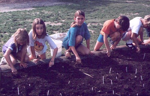 several students planting seeds