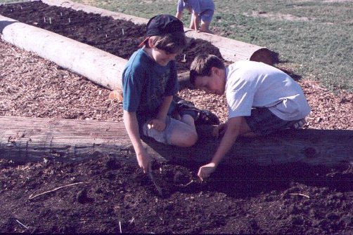 two students planting seeds